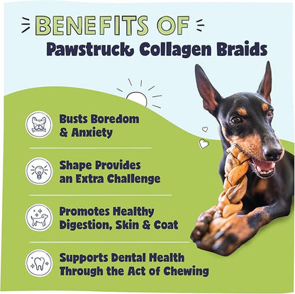 Pawstruck Natural 5-7 Beef Collagen Braids for Dogs - Healthy Long Lasting Alternative to Traditional Rawhide & Bully Sticks Chew Treats w/Chondroitin & Glucosamine - 5 Count - Packaging May Vary