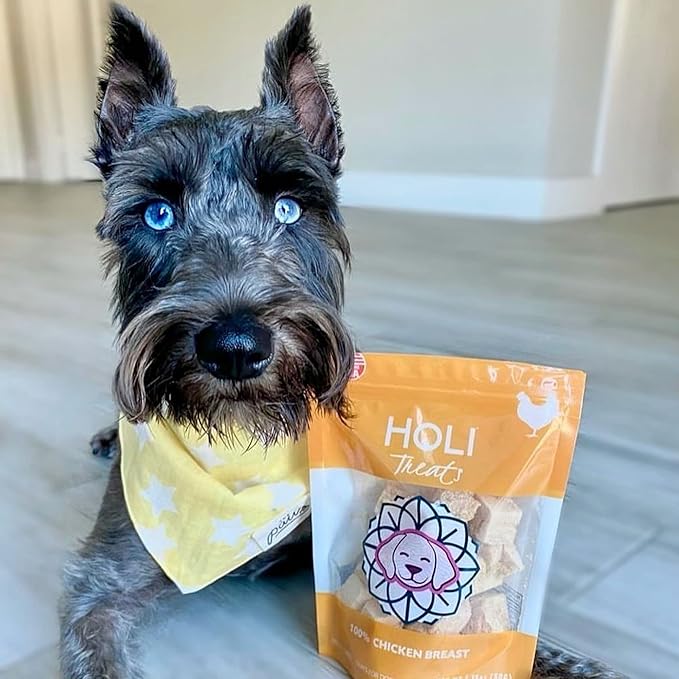 HOLI Freeze Dried Chicken Dog Treats - 100% All Natural Chicken Breast - Human Grade, Single Ingredient - Grain Free, Gluten Free, Soy Free  (3.5 Ounce - 2 Pack)