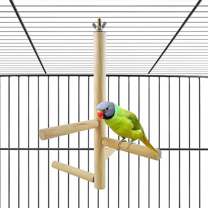 Bird Perch Stand Toy Natural Wood Parrot Perch Parakeet Cage Top Wooden Branches for Standing Toys for Small Medium Parrots Conure Budgie Lovebirds