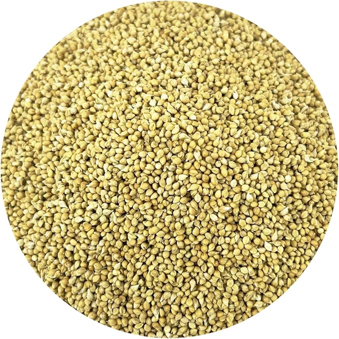 PACIFIC Organic Petfood Organic Feed Millet - Millet Bird Seed | Rich with Fiber & Minerals | USDA and CCOF Certified | Packed in USA (5 Pound (Pack of 1))