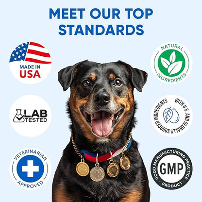 Omega 3 Fish Oil for Dogs Chews - Dog Skin & Coat Supplement for Itch Relief, Hot Spot Treatment - USA Product - Salmon Oil for Dogs Itching Skin Relief, Shedding, Hip & Joint Health - 120 Soft Treats