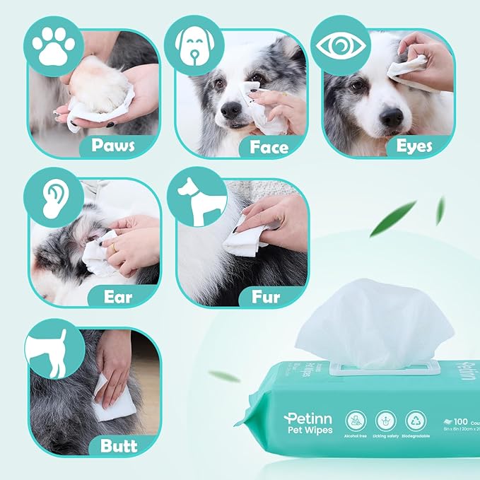 Pet Wipes for Dogs and Cats, Paws Butt Fur Cleaning Deodorizing, 100 Count Unscented Pet Grooming Wipes with 8"x8" Biodegradable Bamboo Fiber, Puppy Kitten Bath Wipe, Hypoallergenic, Licking Safety