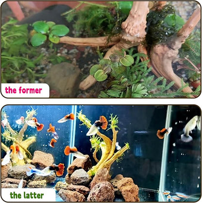 Hamiledyi 6PCS Aquarium Driftwood 6-8in Natural Spider Wood Branches Reptiles Aquarium Fish Tank Decoration Assorted