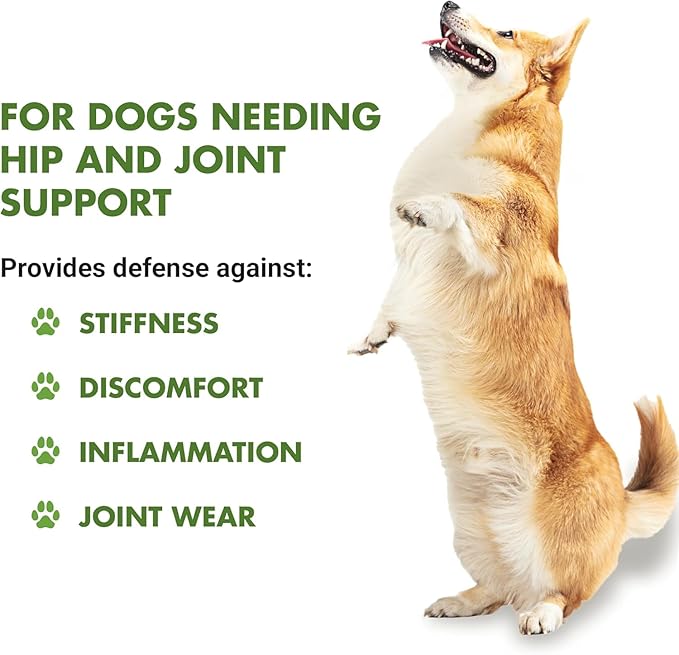 LIQUID-VET K9 Hip & Joint Formula, Chicken Flavor, 16 oz (Pack of 2)