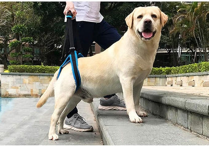 Adjustable Pet Dogs Lift Support Harness Breathable Mesh Padded Sling Straps Canine Support Rehabilitation for Injuries Arthritis Weak hind Legs & Joints, Blue (S)