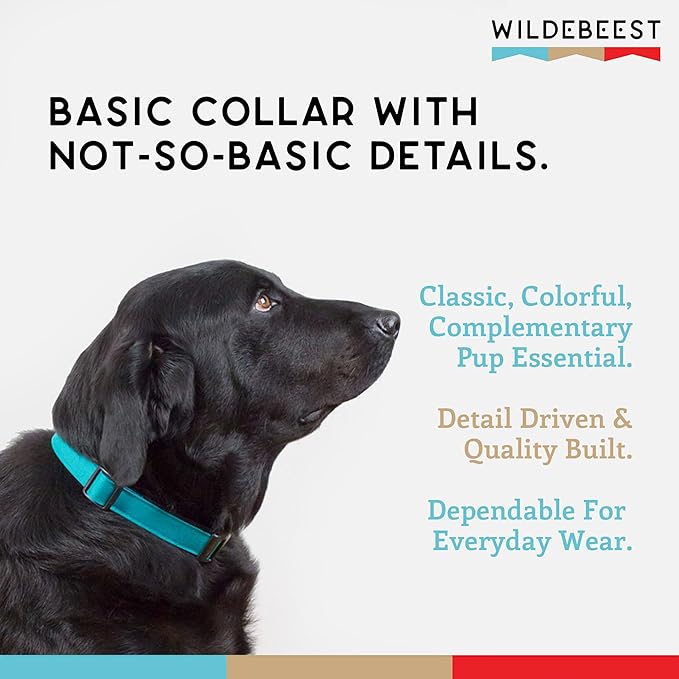 Dog Collar, Lightweight, Heavy Duty Dog Collar with Buckle, Fabric Pet Collar, Breathable & Adjustable Puppy Collar, Dog Collars for Small Dogs (Turquoise, Small - 8-12 Inch) - Wildebeest