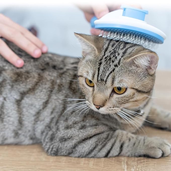 Cat Brush for Hair Removal, Dog Brush for Indoor Cats and Dogs, Suitable for Shedding & Haired Pets, Skin Friendly Hair Removal Beauty Tool, Blue