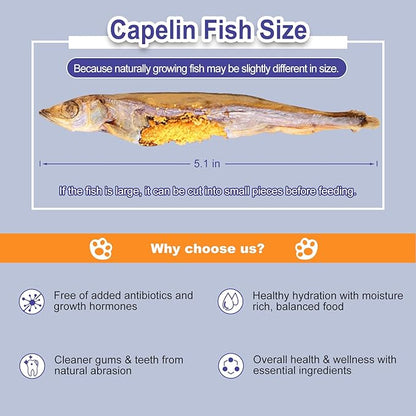 Freeze Dried Fish Dog Treats - Whole Capelin Fish Seeds Cats Treats Natural Single Ingredient Delicious Snacks Training Healthy Chews Food Pet Food No Fillers ï¼3 Ozï¼