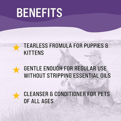 Dr. Boe's Veterinary Essentials GentleCoat Tearless Shampoo and Conditioner  Puppy and Kitten Soap-Free Formula  Grooming Supplies  All Natural, Aloe Vera & Gentle Proteins  16 Fl Oz.