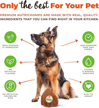 NutriChomps Nutri Ears-Easy to Digest, Rawhide-Free Dog Treats, Bundle of 10, Real Chicken Flavor, Brown (NT082V-10)