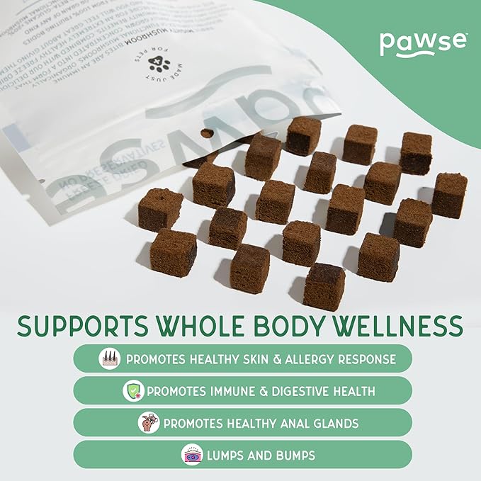 Mighty Mushroom Supplement for Dogs & Cats | for Immune System, Lumps & Bumps, Gut Health & Skin Support | Mushroom Blend with Turkey Tail, Reishi, Chaga, Maitake & Shiitake | 60 Bites