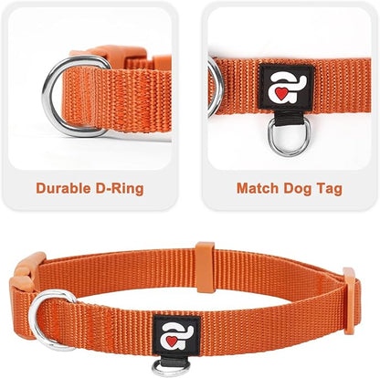 azuza 3 Pack Fall Dog Collars Comfortable and Adjustable Nylon Dog Collars for Puppy Small Dogs, XS (8-12inch)ï¼_inger Yellow, Rust Orange and Latte Brown