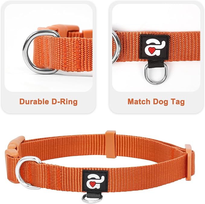 azuza 3 Pack Fall Dog Collars Comfortable and Adjustable Nylon Dog Collars for Medium Dogs, M (14-20inch)ï¼ Ginger Yellow, Rust Orange and Latte Brown