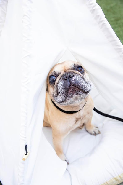 Cat Tent, Portable Dog Tent for Small Pets, Stylish Teepee Design, Cozy Hideaway Reduces Pet Stress, Easy Clean Canvas, Foldable Pet Bed - White, Portable