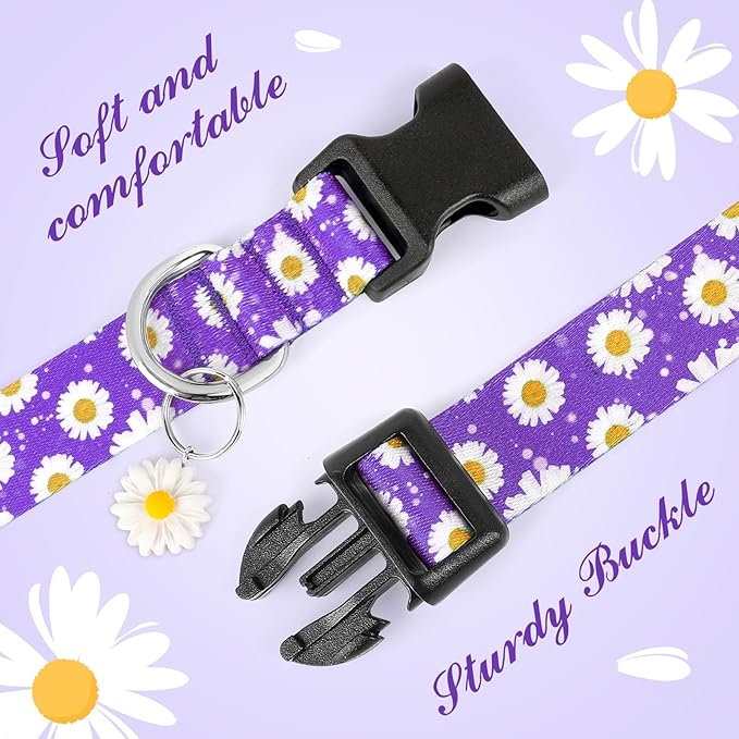BiPawTi Floral Dog Collar for Girl Boy - Dog Collars Cute Flower Puppy Collar for Extra Small Dog, Soft Adjustable Dogs Collar for Small Dogs with Pretty Daisies Charms (XS, Purple)