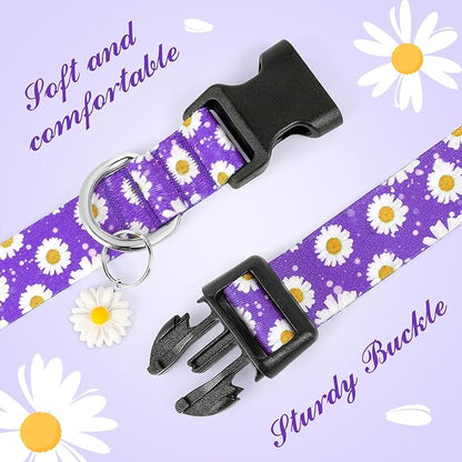 BiPawTi Floral Dog Collar for Girl Boy - Dog Collars Cute Flower Puppy Collar for Extra Small Dog, Soft Adjustable Dogs Collar for Small Dogs with Pretty Daisies Charms (XS, Purple)