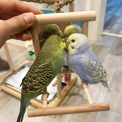 HANZE Bird Mirror Swing with Rattan Ball | Natural Wood Parrot Toy with Metal Hooks for Macaws, Cockatiels, Parakeets, Lovebirds | Safe Chewing & Mental Stimulation