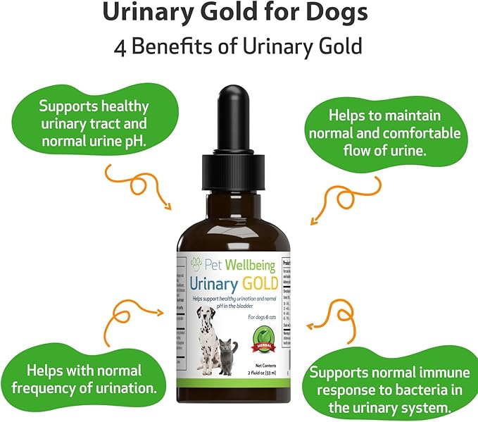 Pet Wellbeing Urinary Gold for Dogs - Vet-Formulated Multi-Herb Urinary Tract Support - Bladder Health & Urinary System Wellness - Natural Dog Supplement - Liquid Formula 2 oz (59ml)