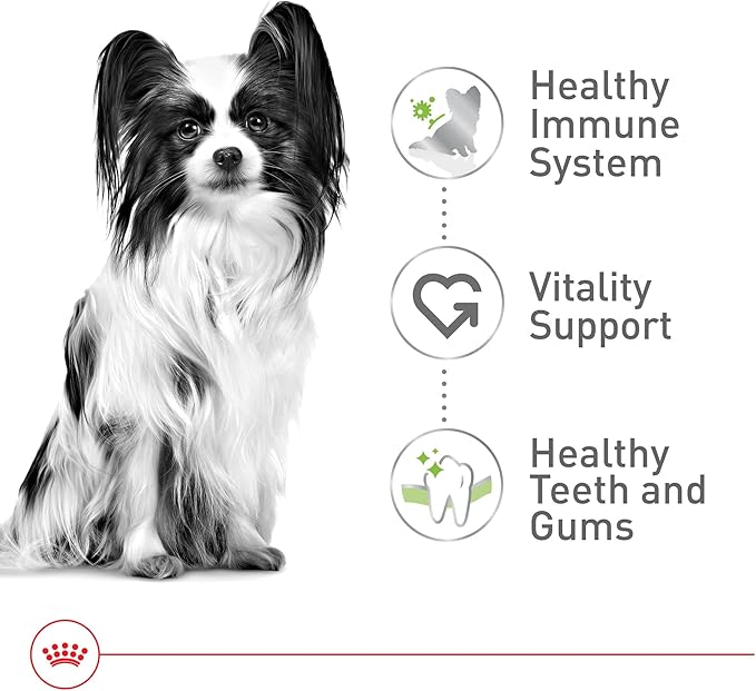 Royal Canin Size Health Nutrition X-Small 7+ Adult Dry Dog Food, 2.5 lb Bag