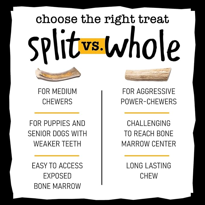 Snatchers Whole Elk Antlers for Mild to Aggressive Chewers  Durable, Naturally Shed Antlers for Dogs Processed in the USA with No Additives  Vitamin-Rich Dog Treats for Fun & Health (Medium 1 Count)