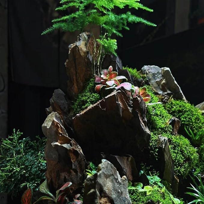 kecilke Aquascaping Rock Dragon Stone Aquarium Rocks 2-8 inches Natural Rocks for Aquariums, Fish Tank Rocks & Tank Decoration-20LB