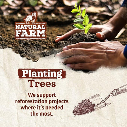 Natural Farm Peanut Butter Flavor Filled Dog Bones (5-6 Inch, 3 Pack), Limited Ingredient Stuffed Dental Dog Bone Treats for Small, Medium and Large Dogs