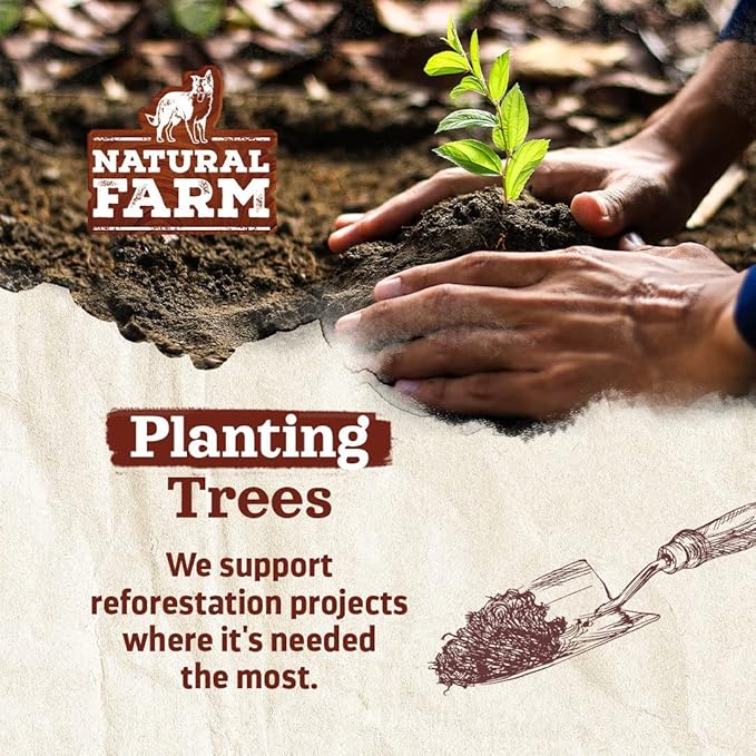 Natural Farm Thin Bully Sticks (6 Inch, 25 Pack), Natural Dog Dental Treats, Grain-Free, Preservative-Free, Low-Fat, & Fully Digestible - Best for Small, Senior or Light Chewers