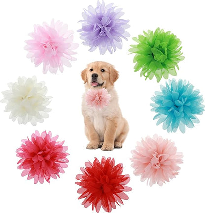 8 Pcs Dog Collar Flowers Pet Collar Flowers Dog Collar Charms Dog Bows Girl Dog Accessories Dog Bows with Rubber Bands