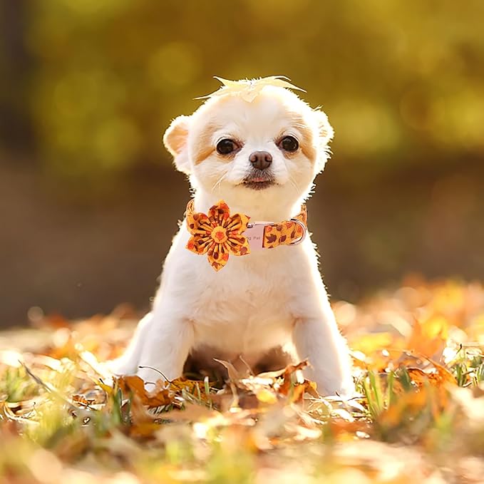ARING PET Fall Dog Collar-Cotton Maple Leaves Dog Collar with Flower, Adjustable Autumn Leaves Dog Collars Pet Necklace with Metal Buckle for Girl&Boy Dogs