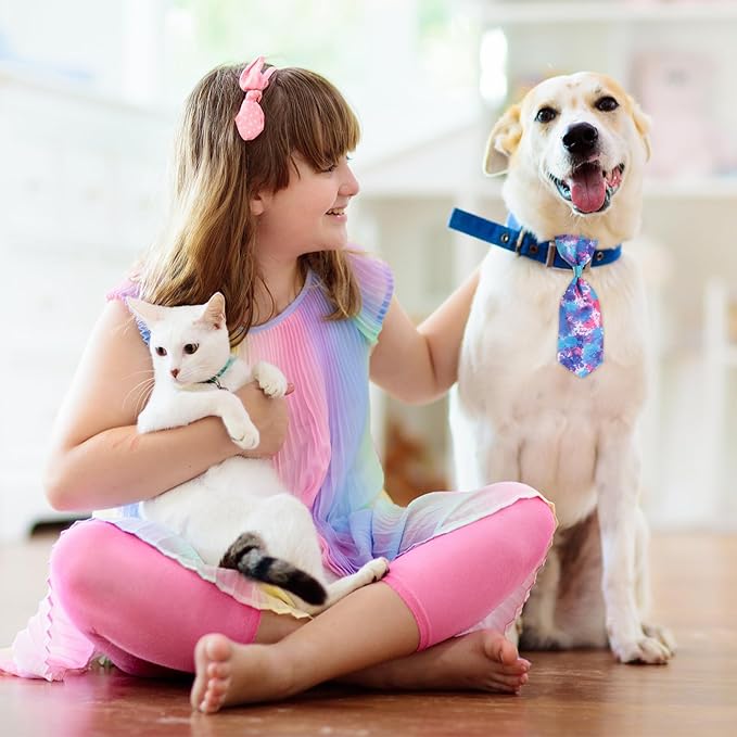 80 Pcs Dog Bows Dog Bow Ties for Small Dogs Assorted Pattern Dog Bowtie Dog Collar Bows Cat Bowtie Collar Dog Bowknot for Small Medium Puppy Pet Photography Festival Grooming Party (Vibrant Style)