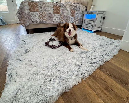 PJYuCien Dog Blanket for Medium Large Dogs, Large Pet Blankets with Reversible Fleece, 60"x50" Washable Calming Pet Throw for Couch/Bed, Grey