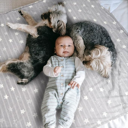 ARGOPET Dog Cooling Blanket 28 * 21inch Lightweight Self Cooling Blanket Bed Cover for Dog Cat Summer Blanket &Ice Silk Cooling Pet Blanket Throw Blanket for Kennel Sofa