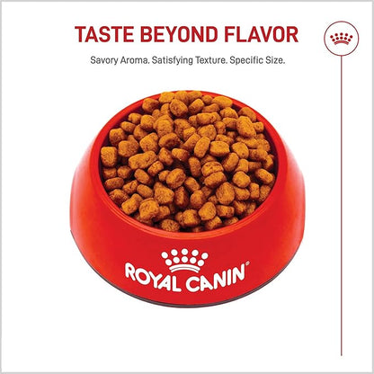 Royal Canin Breed Health Nutrition Yorkshire Terrier Adult Dry Dog Food, 10 lb Bag