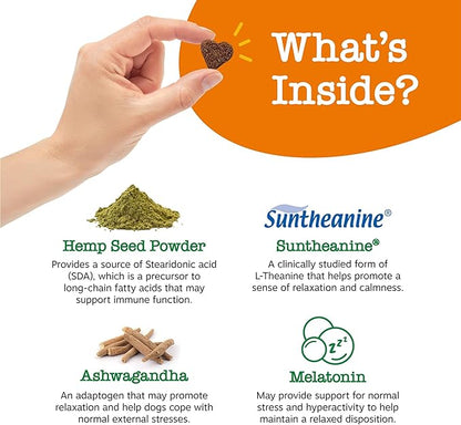 Zesty Paws Hemp Calming Chews for Dogs - Dog Hemp Calming Chews with Melatonin for Dogs for Stress, Travel, Check Ups, Thunderstorms, Separation Anxiety and More - Turkey - 90 Count