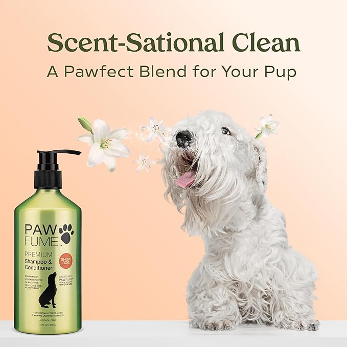 PAWFUME Deshedding Dog Shampoo and Conditioner, Show Dog, 1-Pack  Nourish & Detangle for Silky Soft Coat  Probiotic, Deep-Cleaning, pH-Balanced Formula  Salon-Quality Shampoo for Dogs