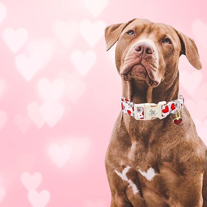 Elegant little tail Valentine's Day Dog Collar-Cute Pink Heart Dog Collar for Medium Dogs, Female or Male Adjustable Cotton Pet Collar with Quick Release Buckle for Small Medium Large Dogs