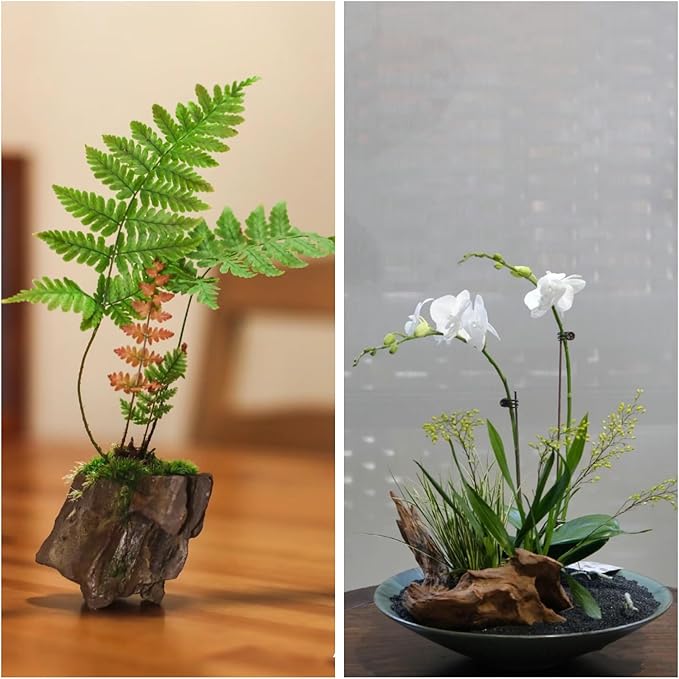 kecilke Aquarium Rocks Dragon Stone 2-4 inches Fish Tank Rocks for Aquariums, Tank Decoration, Landscaping & Amphibian Enclosures-5LB