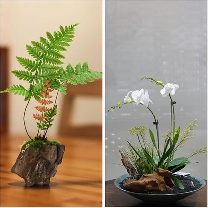 kecilke Natural Stone Aquarium Rocks Dragon Stone Rock 2-6 inches Rocks for Aquariums, Fish Tank Decoration & Landscaping Models-10LB