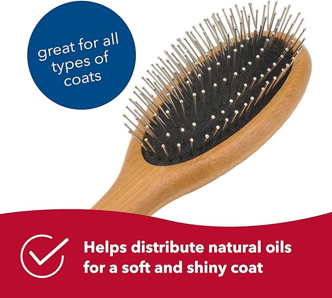 Coastal Pet Safari Wire Pin Dog Brush with Bamboo Handle - Large - General Dog Grooming Brush for Short and Long Hair - Eco-Friendly Handle