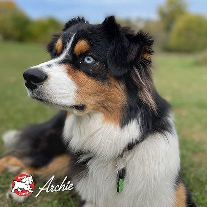 Fromm Four-Star Chicken with Carrots & Peas Grain-Free Dog Treats, 8oz (226g)