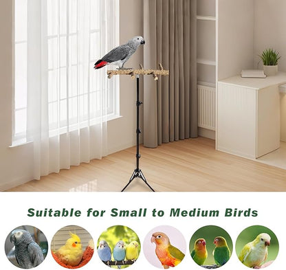 Wooden Bird Perch Stand with a Height Adjustable Tripod, Bird Training Accessories for Indoor or Outdoor, Birds Stand for African Grey, Budgies, Cockatiels, Lovebirds, Conures, Small to Medium Birds