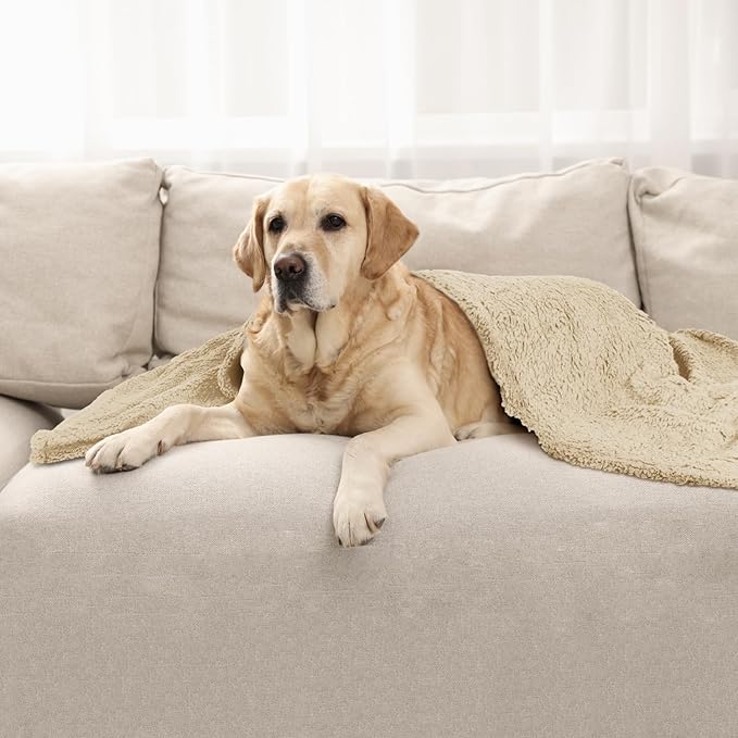 furrybaby Dog Blanket Soft Dog Blankets for Large Dogs Puppy Essentials Washable Sherpa Fleece Cat Blanket 41x65 Inches for Bed Furniture Couch Sofa (X Large, Beige)