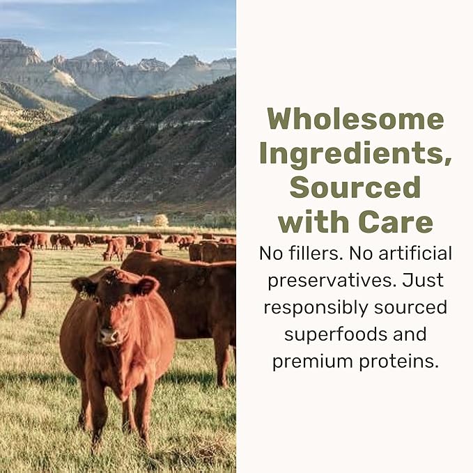 BADLANDS RANCH Superfood Nuggets- Premium, Freeze-Dried raw Dog Food Topper or Treat. Powerful Nutrient-Dense Ingredients. No Artificial additives. Beef Tripe and Kale Formula 8oz - 4pk Bundle