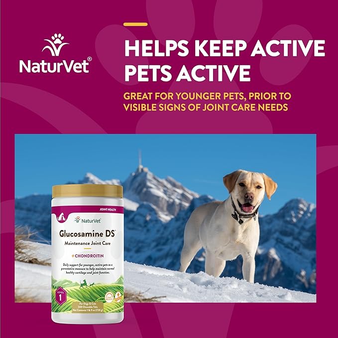 NaturVet  Glucosamine DS - Level 1 Maintenance Care | Preventative Care to Maintain Healthy Cartilage & Joint Function | Enhanced with Glucosamine & Chondroitin | for Dogs & Cats (240 Tablets)