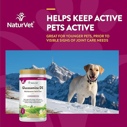 NaturVet  Glucosamine DS - Level 1 Maintenance Care | Preventative Care to Maintain Healthy Cartilage & Joint Function | Enhanced with Glucosamine & Chondroitin | for Dogs & Cats (240 Tablets)