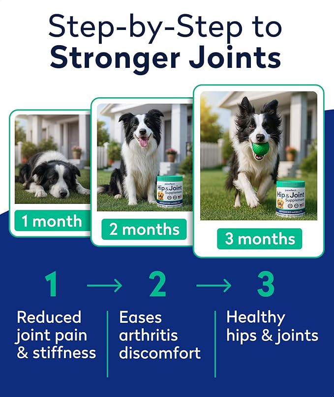 PAWFECTCHEW Advanced Hip & Joint Glucosamine Supplement for Dogs - Treats for Picky Eaters w/Chondroitin, MSM, Omega-3 - Joint Pain Relief - Chicken Liver - 180 Ct - Made in USA