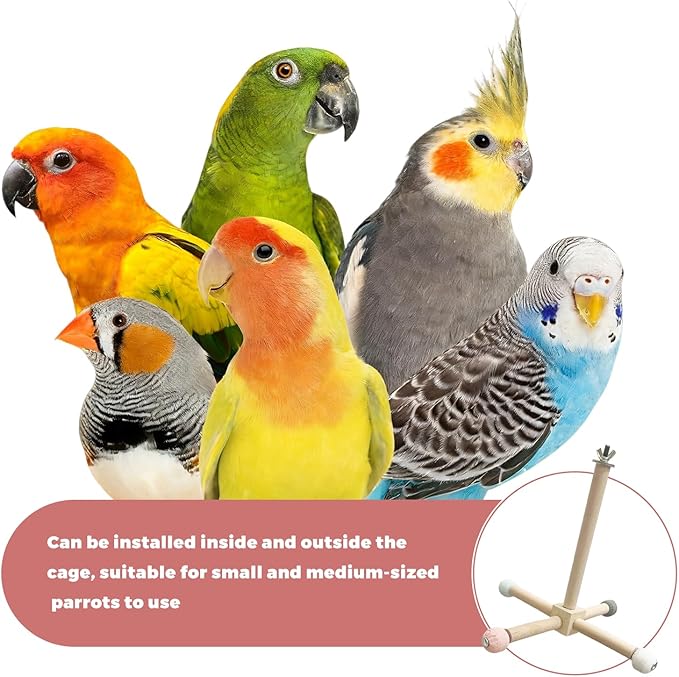 Bird Perch - 360° Rotating Interactive Perch for Cage, Natural Lava Rock for Claw & Beak Grinding, Safe Non-Toxic Wood, Multi-Position Play, Parakeet perches for cage, for Small/Medium Birds