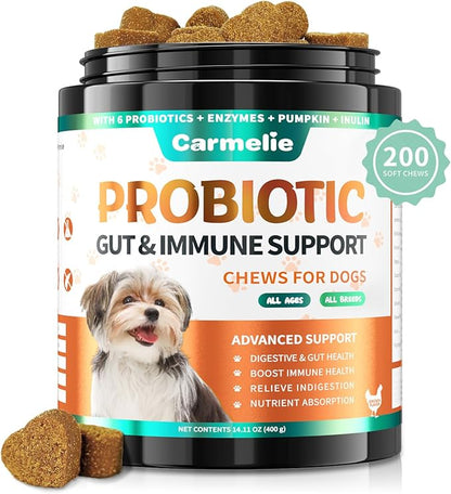 Probiotics for Dogs, 200 Soft Chews Digestive Probiotics & Enzymes for Gut Health with Pumpkin, Fibre for Dogs Anti Diarrhea, Upset Stomach, Gas Relief, Itchy Skin & Immune Support (Chicken)