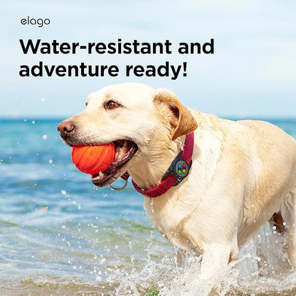 elago Pet Collar W5 Case Compatible with Apple AirTag - Drop Protection Keychain, Cute Design (Track Dogs, Keys, Backpacks, Purses) Tracking Device Not Included (Black)