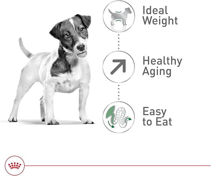 Royal Canin Size Health Nutrition Small Aging 12+ Senior Dry Dog Food, 12 lb Bag